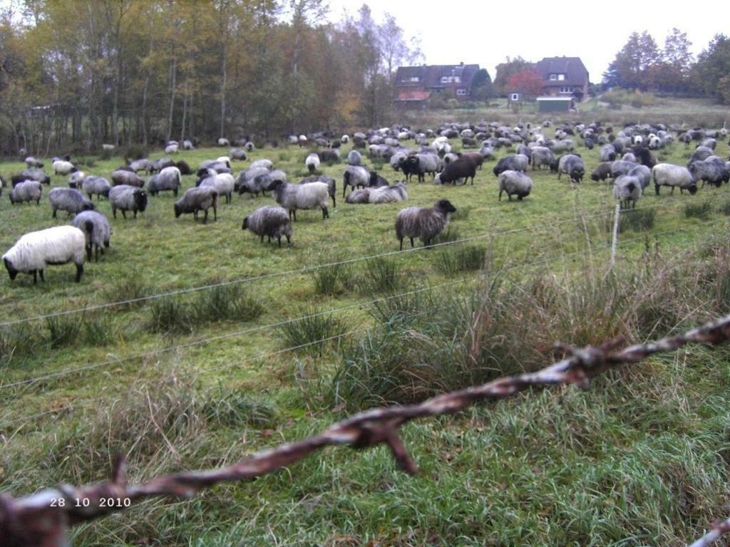 Ferienhaus Huus Ton Witten Barg Ундело Экстерьер фото